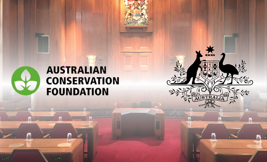 The ACF is fronting up against the environment minister. Again.