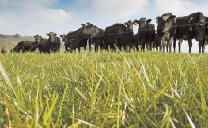 To incorporate regenerative grazing into a livestock system farmers must follow four key processes..