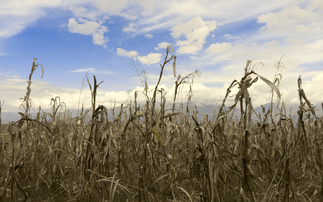 Study: More than $1tr of corporate value at risk from socio-economic climate upheaval
