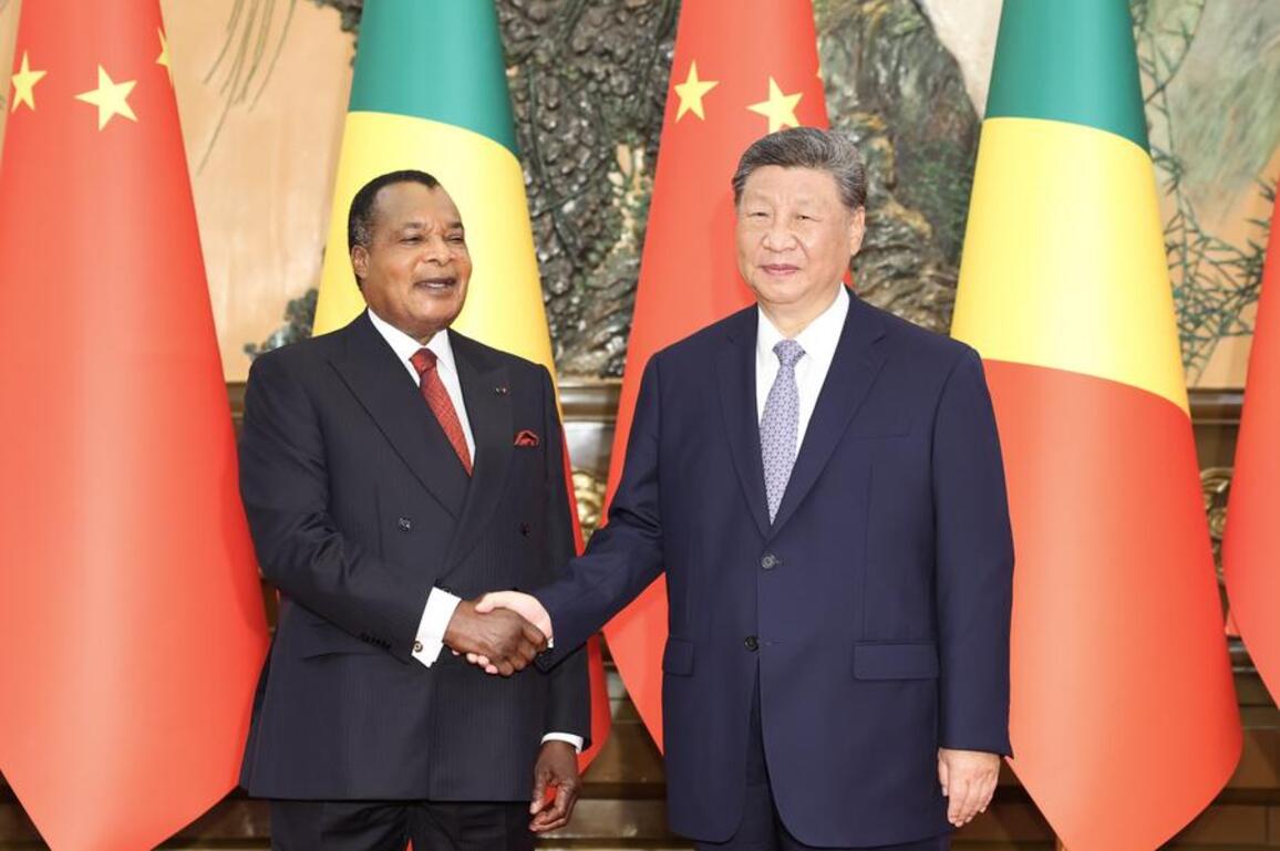 Xi's Album | Xi meets president of Republic of the Congo