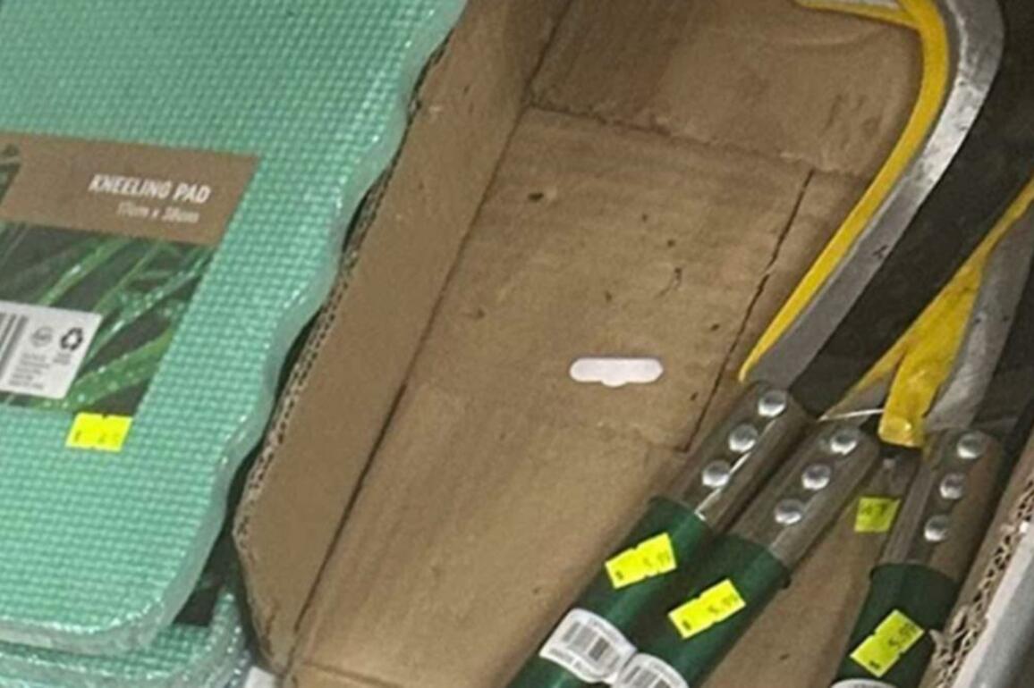 Fathers warning as son finds machete at discount store in Cranbourne, Victoria