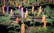 CSIRO said AI can help it target new, sustainable crops.
