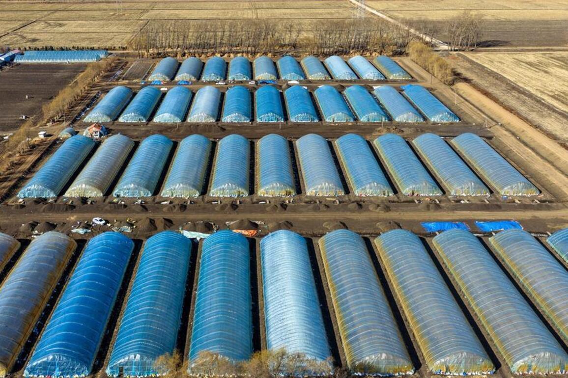 InPics | Preparation for spring ploughing starts in NE China's Heilongjiang