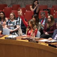 UN-SECURITY COUNCIL-DRAFT RESOLUTION-U.S.-VETO-GAZA
