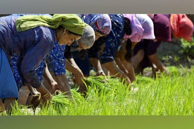 J-K farmers happy with 29 projects of agriculture department on 'holistic development'
