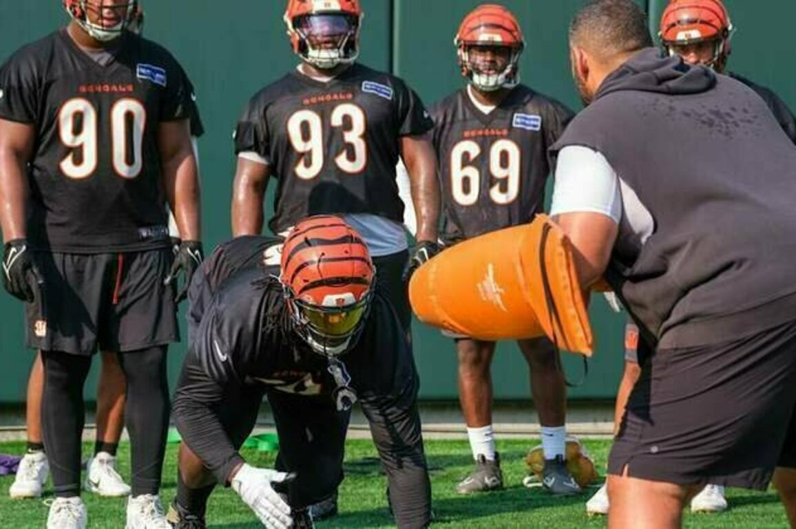 Five Observations from Bengals Mandatory Minicamp Day 3
