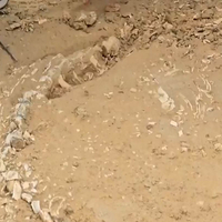 Rajasthan: 201-million-year-old Jurassic-era fossil unearthed in Jaisalmer
