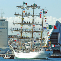 Probe of Mexican ship crash into Brooklyn Bridge centers on engine