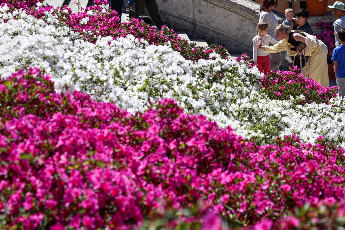 ITALY-ROME-FLOWERS