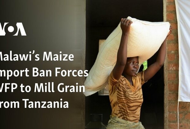 Malawi&#039;s Maize Import Ban Forces WFP to Mill Grain From Tanzania