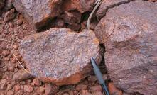 New iron ore deposit found: Warwick