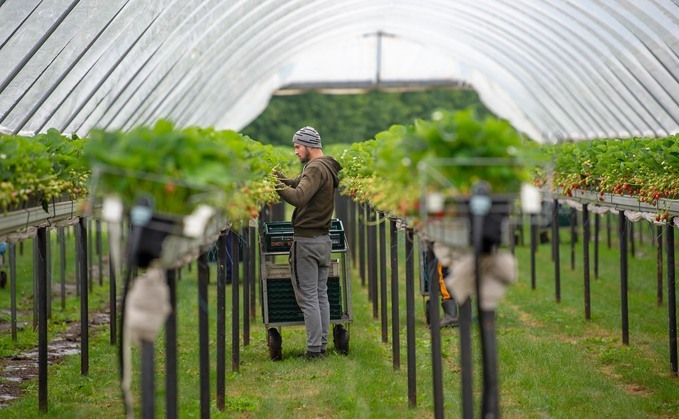 The horticulture sector has been selected as the first focus of the Government's Farming and Food Partnership Board