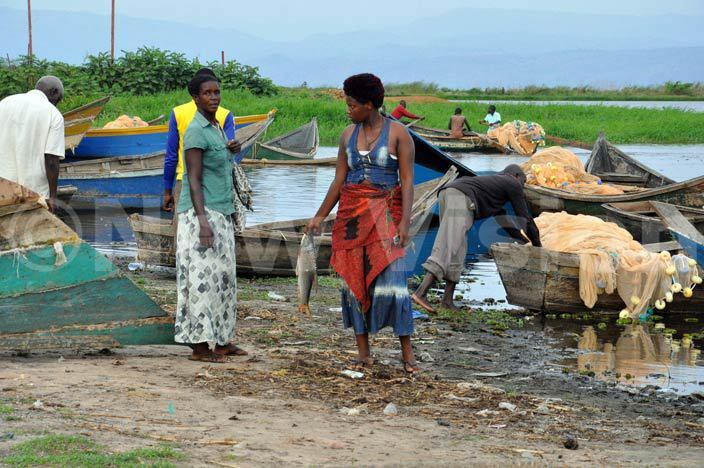   woman negotiating for fish at anseko landing site in uliisa district hoto by rancis morut