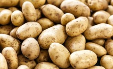 UK lags behind in drive for more potatoes