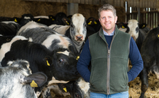 Morrisons' Elite Beef Scheme offers farmers stability