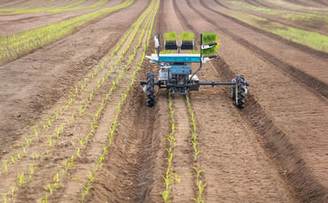 farmersguardian.com - Artificial intelligence in farming: The fundamental difference between livestock and arable