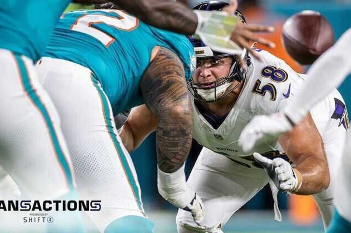 Ravens Elevate Defensive Lineman to Face Vikings