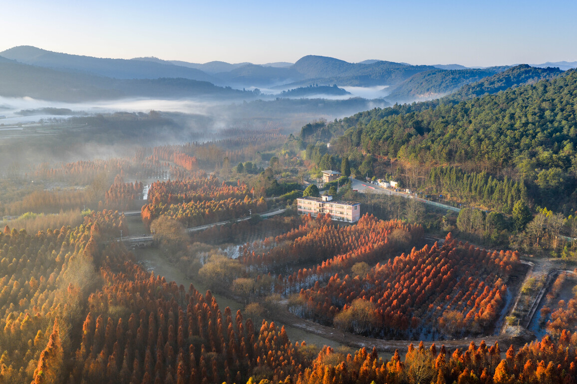 CHINA-YUNNAN-KUNMING-WETLAND-SCENERY (CN)