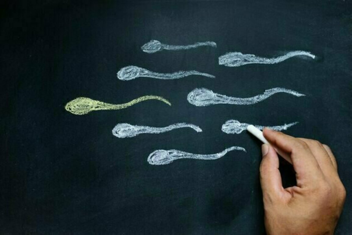 What's the difference between sperm and semen? And can pre-ejaculate get you pregnant?
