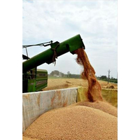 Rabi MSP hike to have muted impact on inflation: Report