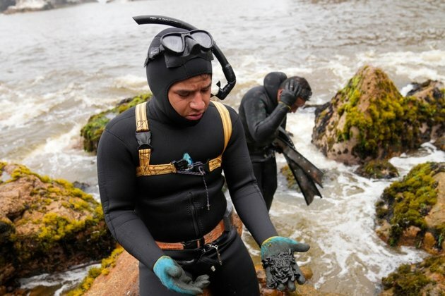 Peru&#039;s &#039;Worst Ecological Disaster&#039; Slams Small-scale Fishing