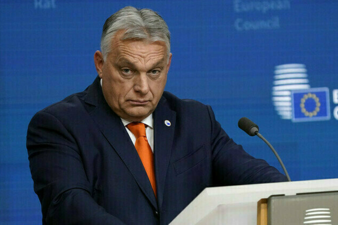 Hungary calls on EU to sanction Ukraine over recruit death