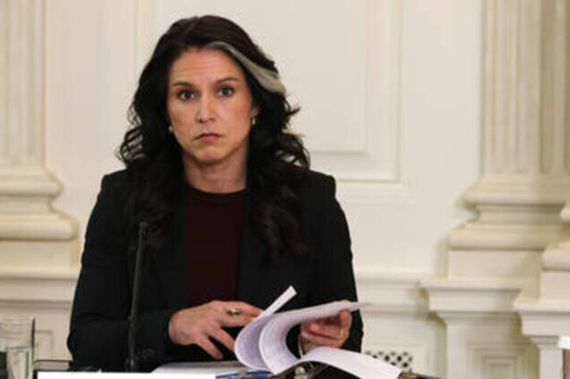Reuters spreads lies and propaganda to prolong Ukraine conflict - Tulsi Gabbard