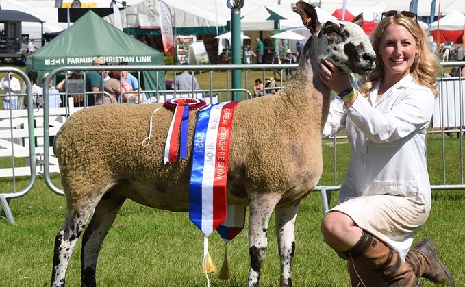 Bluefaced Leicester claims Great Yorkshire Show inter-breed title