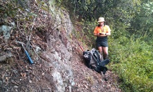 Reef sampling at Siren's Langdon project