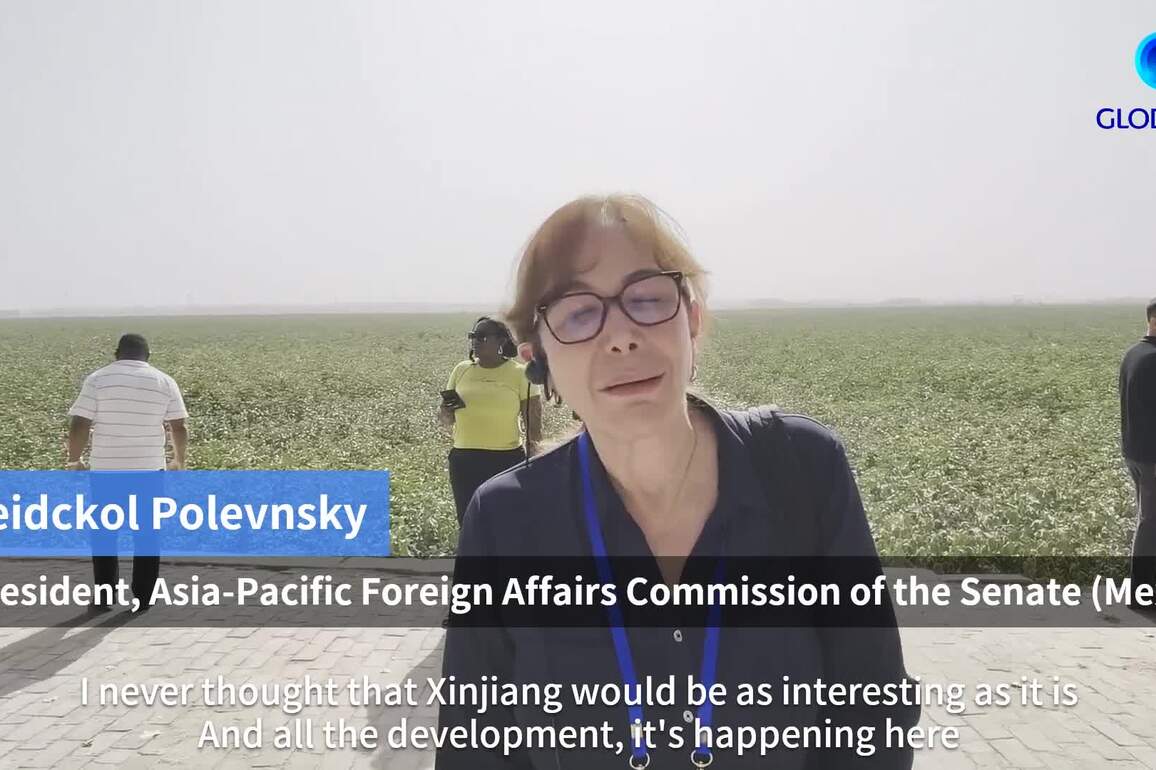GLOBALink | Prosperity and smiles: How global lawmakers see Aksu in Xinjiang