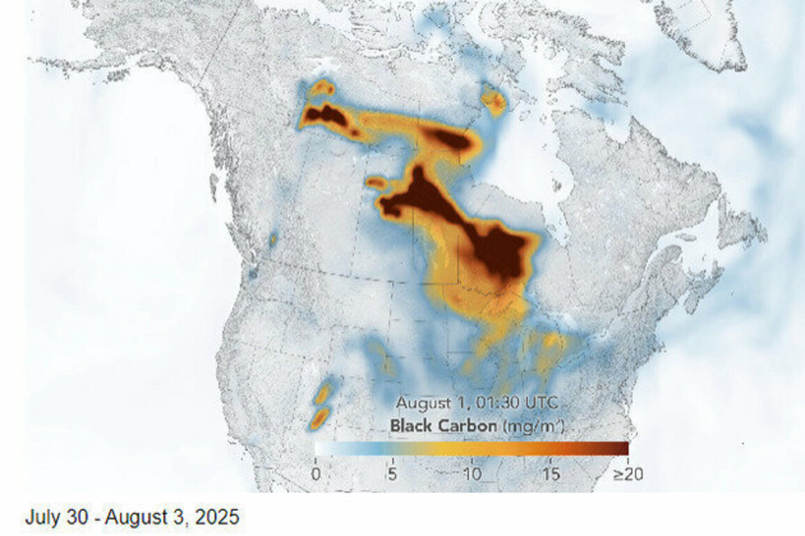Research reveals global increase in wildfires due to climate change despite human interventions