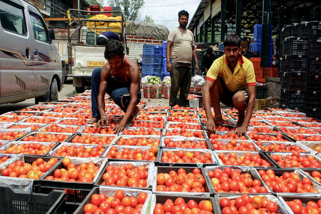 Costs of veg, non-veg thalis dip 13% in Nov amid easing vegetable prices: Crisil