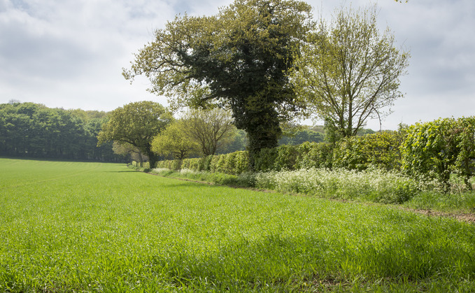 Survey demonstrates farmers' commitment to improving biodiversity