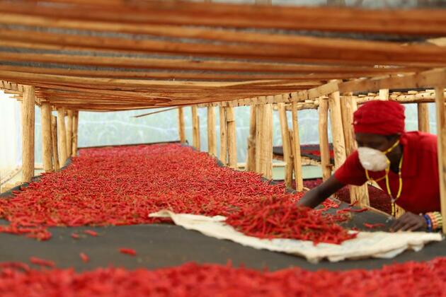 Growing Chinese market offers greater stability, opportunity to world economy