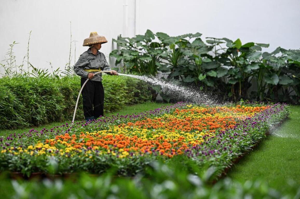 Rural economies prosper in Boao Forum host town