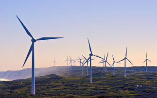 IRENA: Global renewable power capacity surged by 15 per cent in 2024