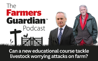 The ļֱ Podcast: Can a new educational course tackle livestock worrying attacks on farm?