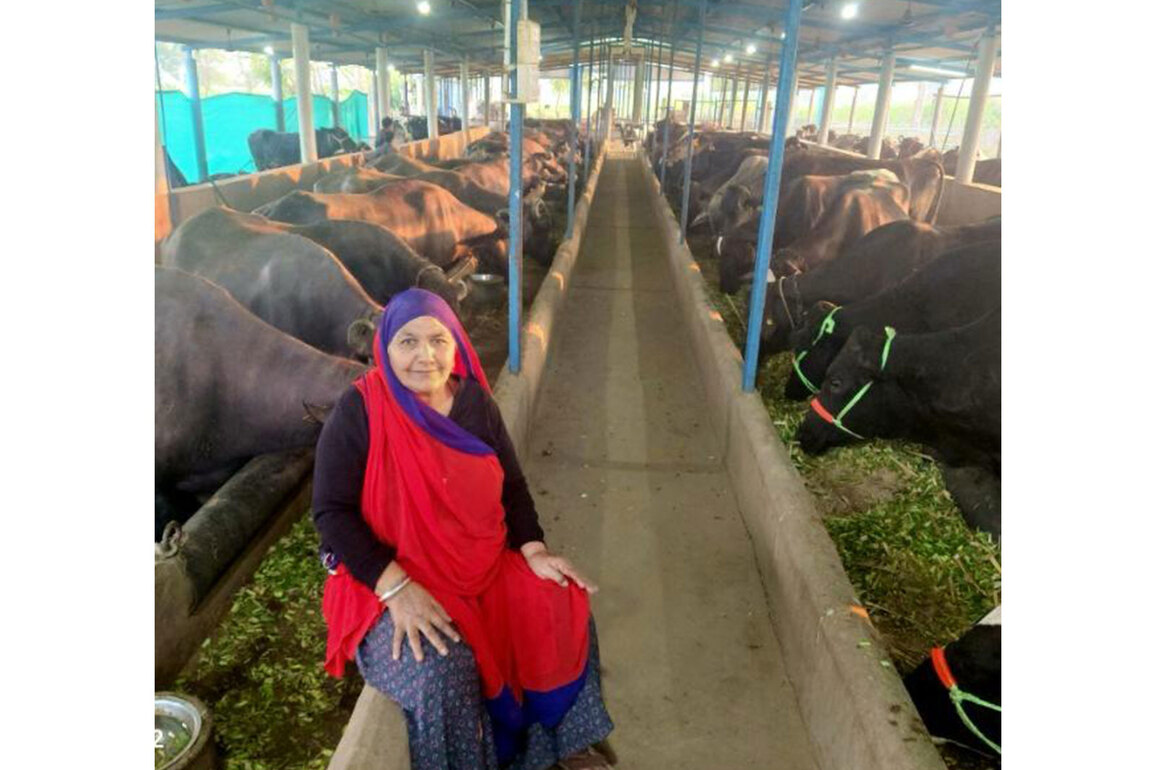 Women in Gujarat achieve Atmanirbharta; around 4,150 of 16,000 cooperative societies managed by women in state