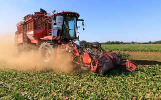 Harvest 2023: Low sugar contents reported in early lifted beet 