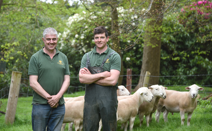 SHEEP: Shropshire farmer believes wool shedding sheep hold firm place in post-subsidy systems