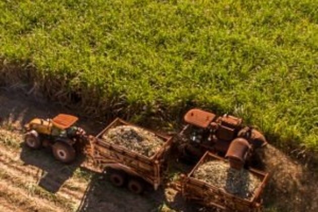 Tongaat readies civil action against former CEO, Peter Staude