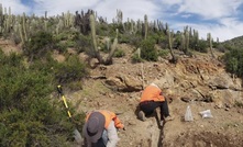 Trenching in Chile. Credit: Culpeo.