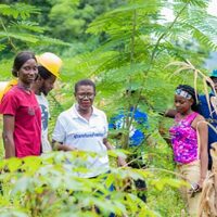 How climate action is changing young lives in Freetown The Sierra Leone Telegraph