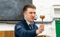 View from the Rostrum – Mark Richardson: "Trade continues to demonstrate the resilience and strength of the live ring"