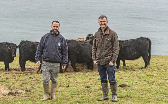 Family farming business thrives on the Lizard Peninsula in Cornwall