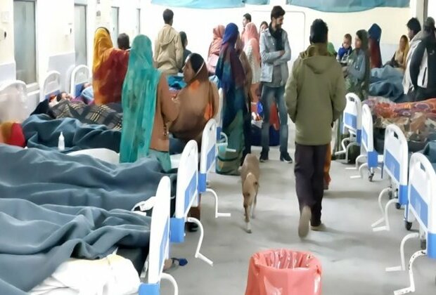 MP: Stray dog spotted roaming inside patient ward in Chhatarpur district hospital; CMHO orders strict action