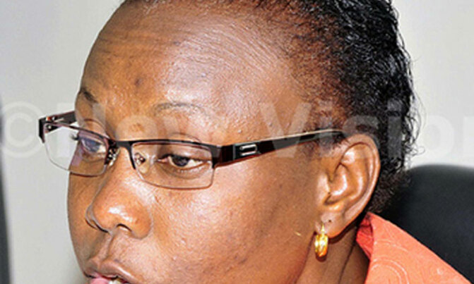 Govt starts distributing mosquito nets Govt starts distributing mosquito nets