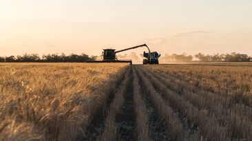 Bendigo Bank has estimated this season's national winter crop production at 54.6mt.