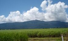 Chevron gets serious about biofuels