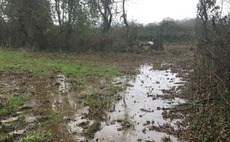 Environment Agency officer identifies slurry pollution at farm during 'dog walk'